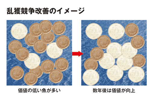 乱獲競争改善のイメージ